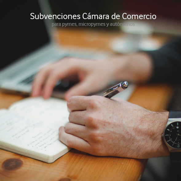 Subvenciones TIC Cámaras activan la digitalización de pymes y autónomos