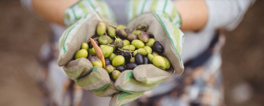 Francisco Sánchez Quintanilla (Oleya Foods) tiene su kit con be beyond